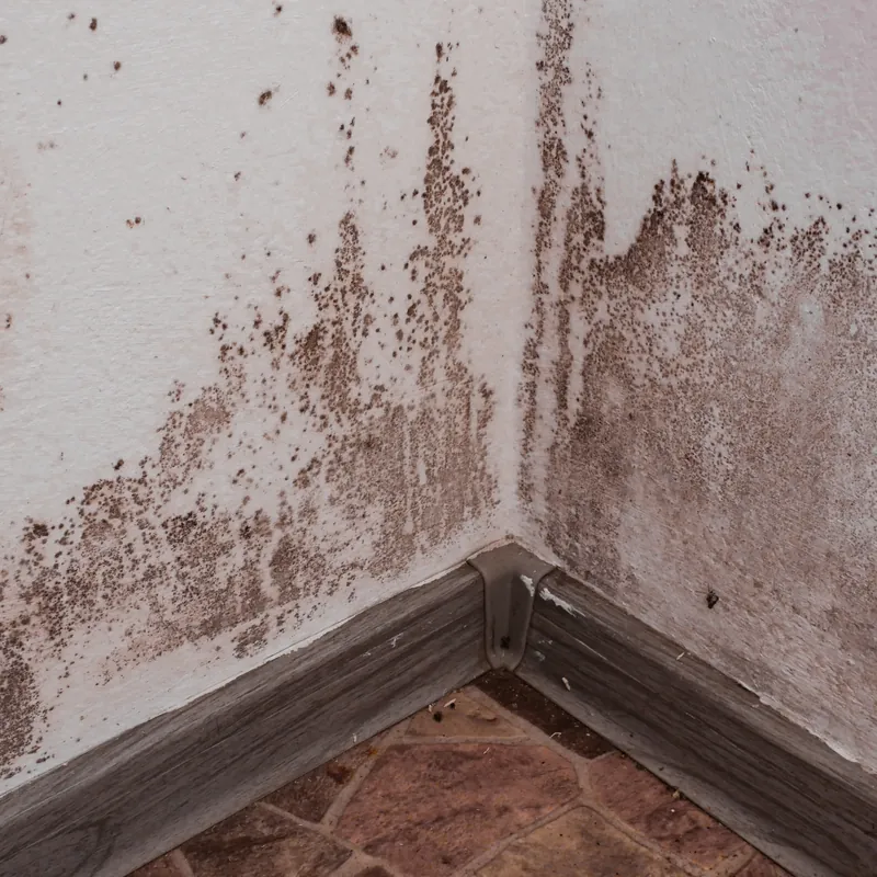 Damp Proofing detail