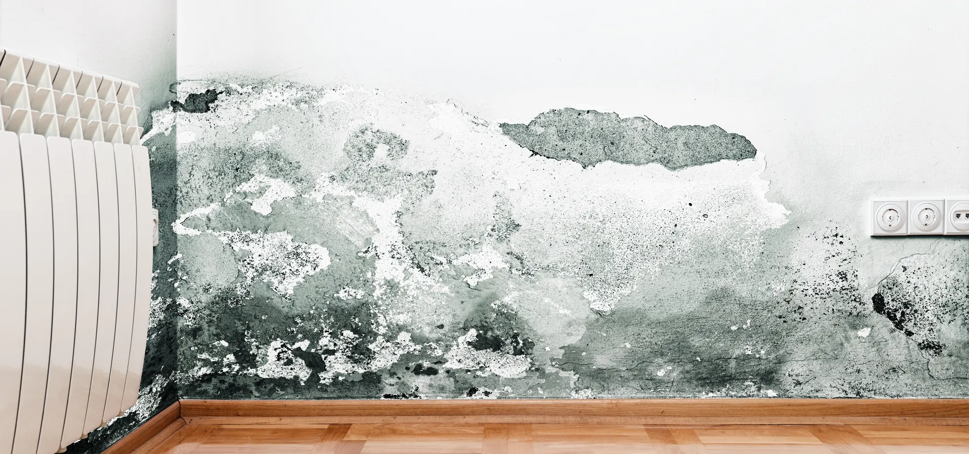 Damp Proofing by Especially Roofing in Hull