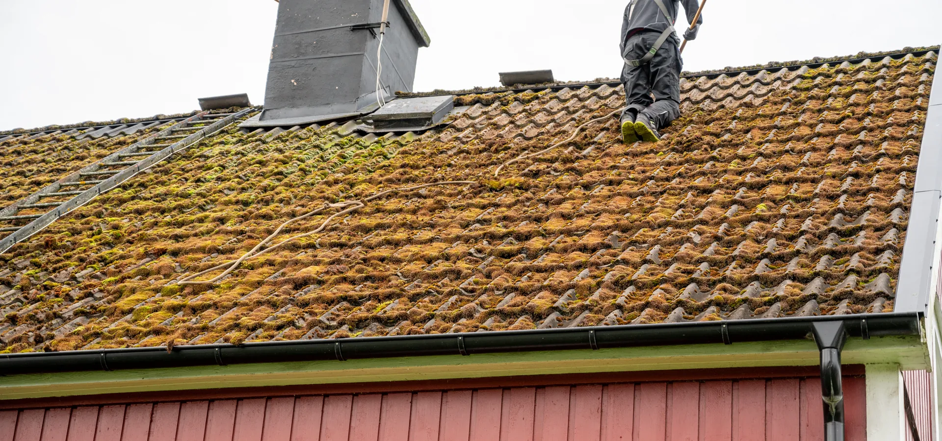 Moss Removal by Especially Roofing in Hull