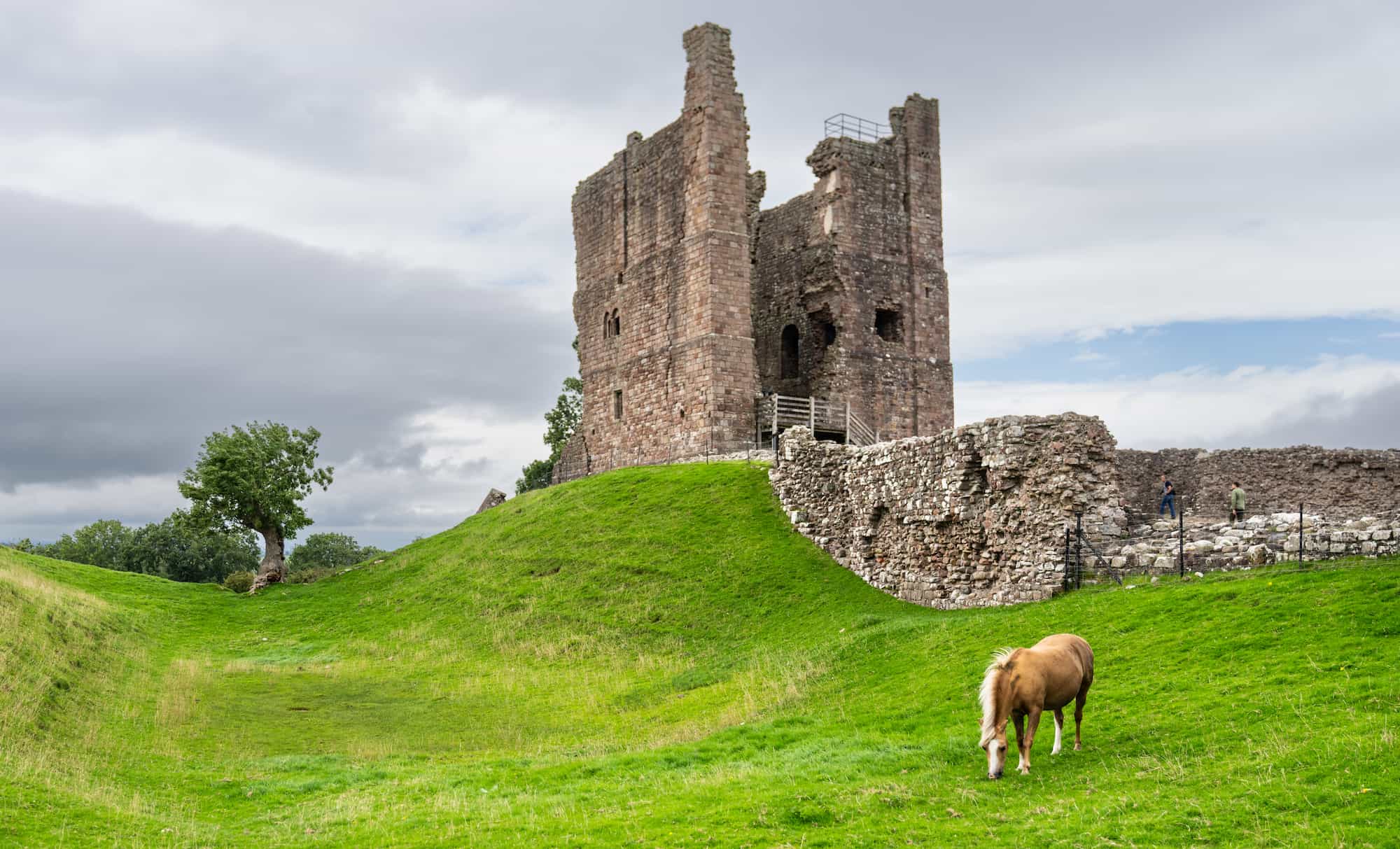 A brown and white pony grazes on green grass in front of a partially ruined stone castle tower and wall under a cloudy sky.
